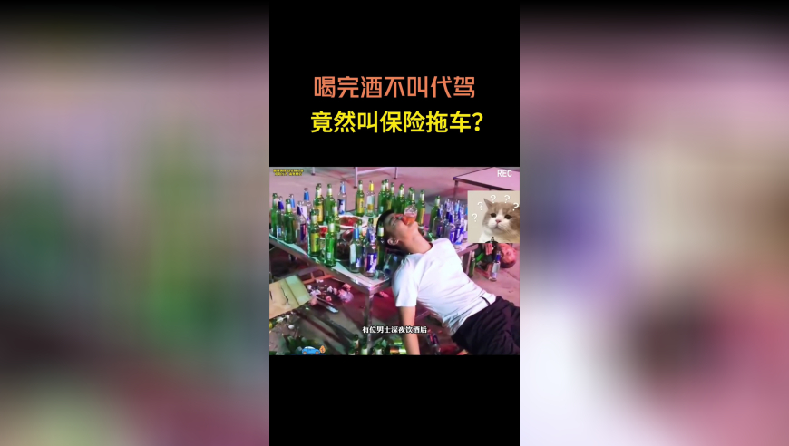香港资料大全正版资料2025,加油后逃单的保时捷男司机落网了,收益成语分析落实_游戏版V12.15