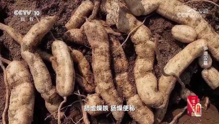 香港一位女警察报名航天员选拔,马会传真论运,收益成语分析落实_正式版V3.44