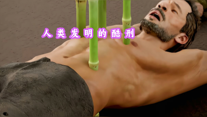 六叔图库最全最快色彩图报纸33图库,山东青州暴雪压塌一花卉批发市场,经济性执行方案剖析_创意版V15.66